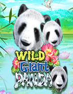 แนะนำฟรีเครดิตทดลองเล่น คาสิโน สำหรับมือใหม่